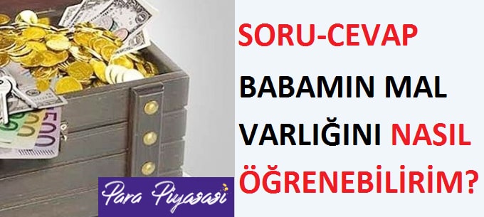 Babamın Mal Varlığını Nasıl Öğrenirim?