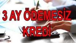 3 ay ertelemeli kredi veren bankalar
