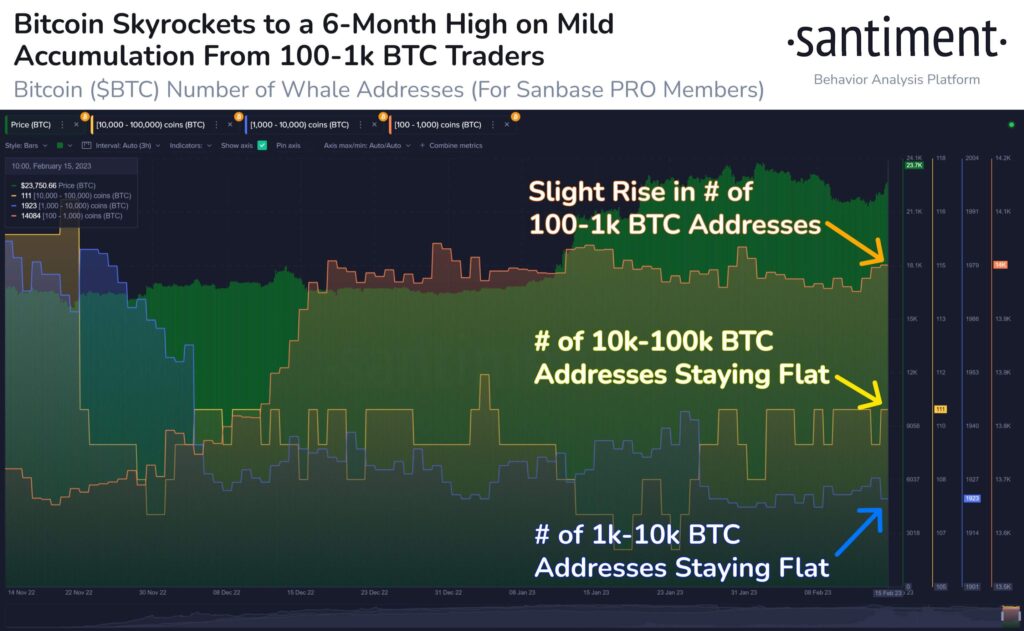 Bitcoin Fiyatı 6 Ayın Zirvesinde! Neden Yükseliyor?