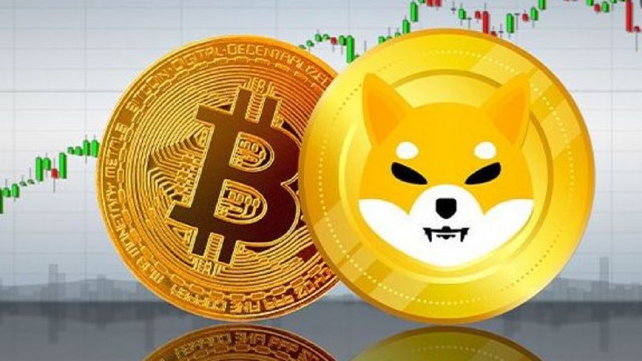 Çok Kere Bildi! ‘BTC ve SHIB Şubat’ta Bu Seviyelerde’