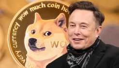 DOGE Değil: Elon Musk’un Bu Altcoin ile Kontağı Çıktı!
