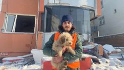 HAYDİKO’dan zelzele bölgesindeki hayvanlar için yardım kampanyası