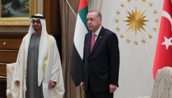 Erdoğan, BAE Devlet Lideri Zayed ile görüştü