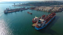 Rusya: Karadeniz tahıl gemisi kontrolleri yine başladı-RIA