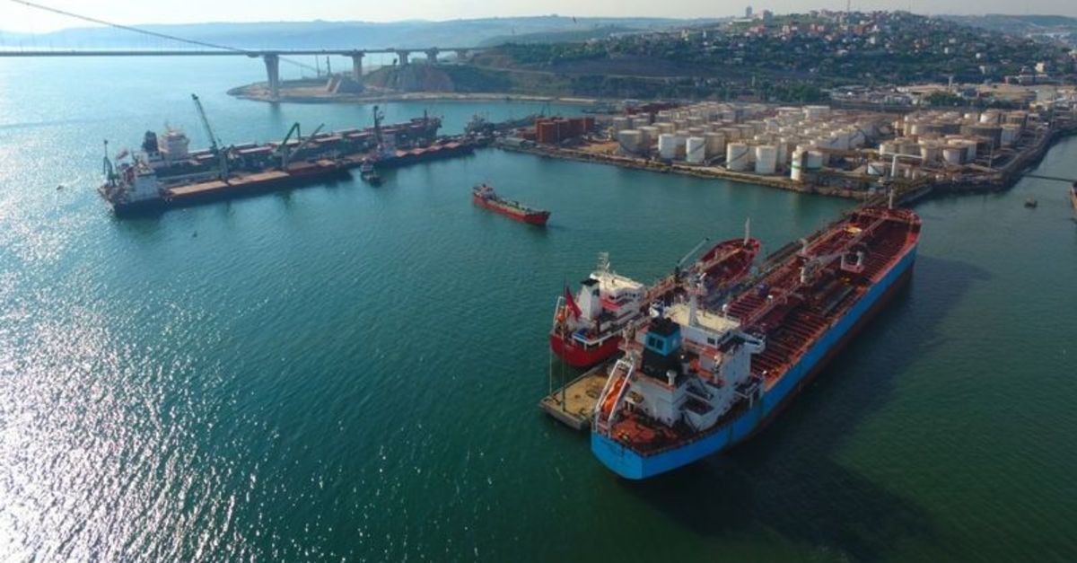 Rusya: Karadeniz tahıl gemisi kontrolleri yine başladı-RIA