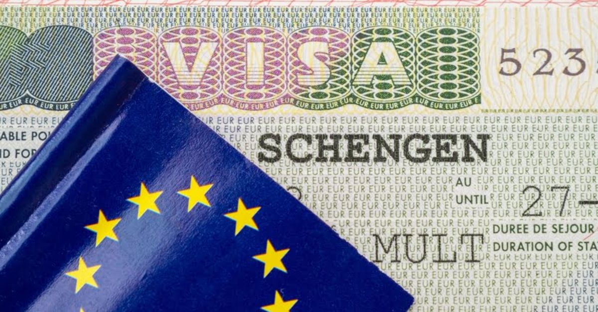 Almanya vize reddi itirazlarını askıya aldı