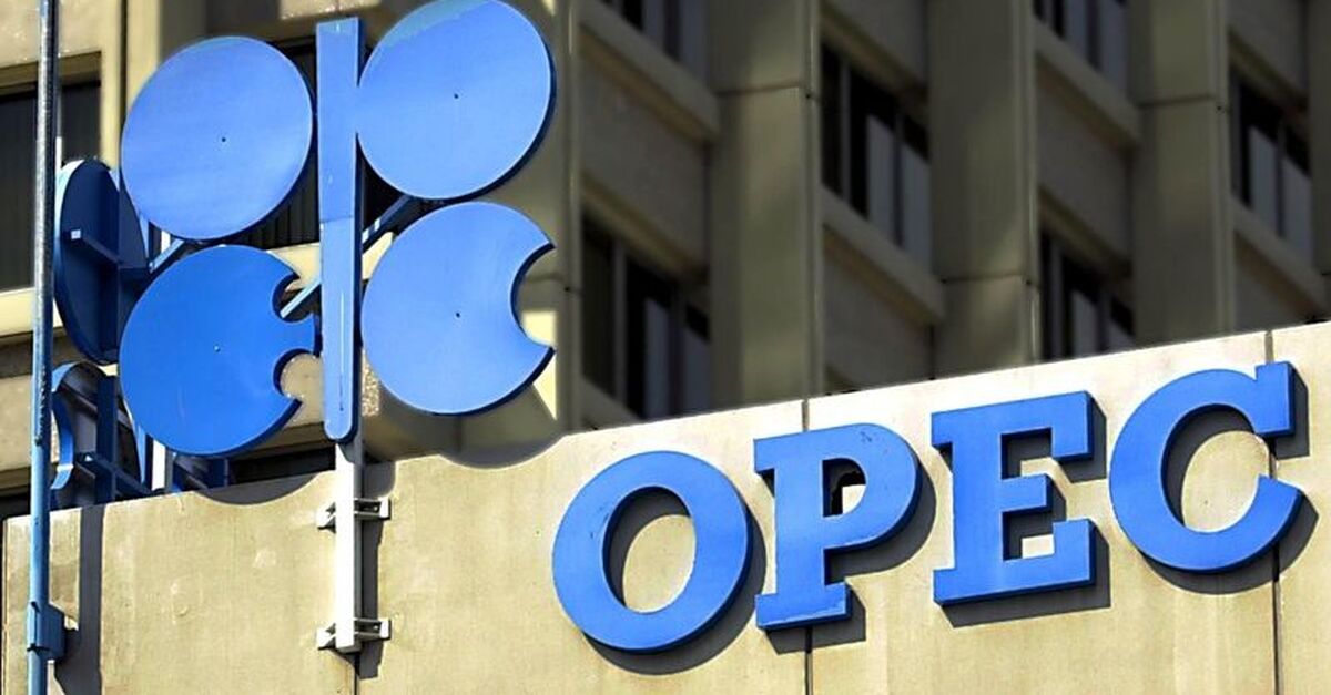 OPEC 4 ülkeyle üyelik için görüşmeler yapıyor